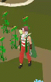 Thumbnail for version as of 17:18, 31 March 2021