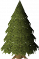 Thumbnail for version as of 01:06, 13 March 2021
