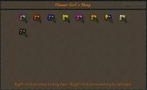 Flowergirl.png