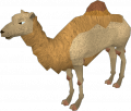 Thumbnail for version as of 13:32, 29 December 2014