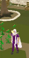 Thumbnail for version as of 09:36, 31 March 2021