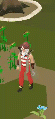 Thumbnail for version as of 17:25, 31 March 2021