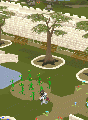Thumbnail for version as of 21:57, 31 March 2021
