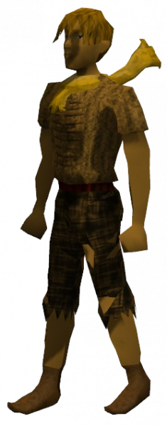 File:GildedScarfEquipped.png