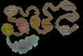Thumbnail for version as of 18:18, 20 August 2021