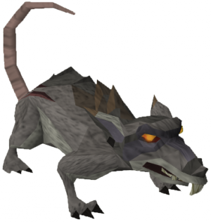 Giant rat.png